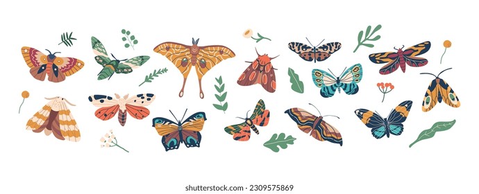 Graceful Winged Insects, Butterflies Are Known For Their Vibrant Colors And Delicate Patterns, Vector Illustration