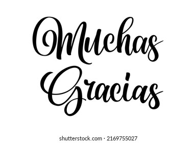 Gracias calligraphy spain text. Hand lettering spanish word thank you. Lettering postcard design in script style. Vector isolated illustration.