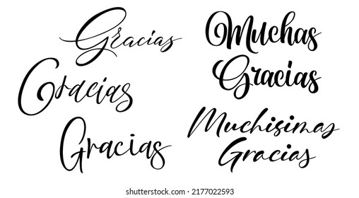 Gracias calligraphy spain text. Hand lettering spanish word thank you. Lettering postcard design in script style. Vector isolated illustration.