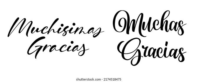 Gracias calligraphy spanish text. Lettering postcard design in script style. Vector isolated illustration.