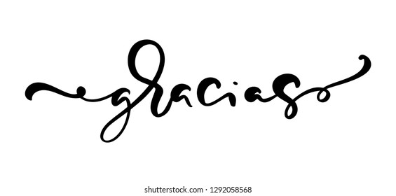 Gracias hand written lettering. Modern brush calligraphy. Thank you in spanish. Isolated on background. Vector illustration