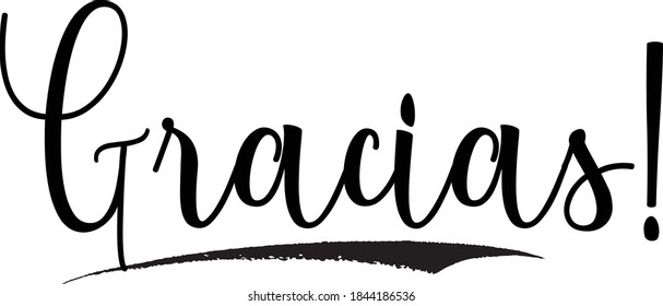 Gracias! Hand Written Typography word modern 
Calligraphy