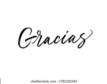 Gracias ink brush vector lettering. Thank you in Spanish. Modern phrase handwritten vector calligraphy. Black paint lettering isolated on white background. Postcard, greeting card, t shirt print.