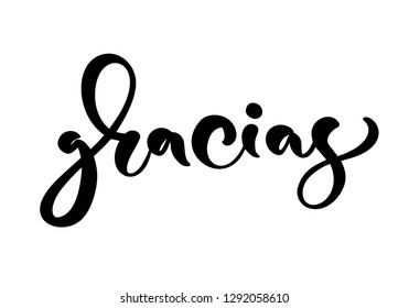 Gracias Vector text in Spanish Thank you. Lettering calligraphy vector illustration. Element for flyers, banner and posters print. Modern calligraphic