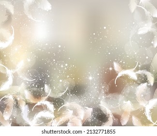 Gradation und unscharfer Hintergrund mit Federn