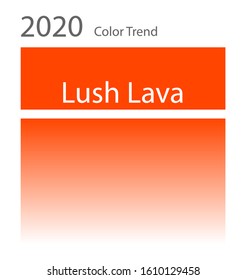 Gradien color, 2020 color trend vector illustration.
