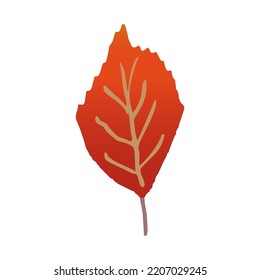 Farbige Herbstblätter im modernen Stil auf weißem Hintergrund. Vektorgrafik einzeln. Ökologie-Konzept. Pflanzenblattzeichen. 