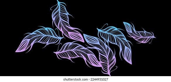 gradient bird feathers dark background Design Wallpaper