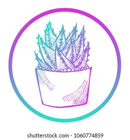 Gradient Blue, Violet, Pink Cactus Succulent Plant Home Summer. Flat Line Icon, Sign, Symbol Isolated Background. Graphic Design Abstract Art, Elements, Vector Illustration EPS 10