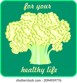 gradient cauliflower image with lettering for your healthy life. suitable for print on t-shirt and healthy food restaurant signage