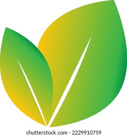 gradient color on leaf icon isolated on white background.