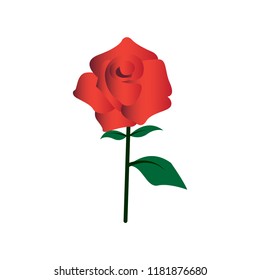 Gradient Color Rose Icon