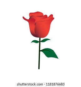 Gradient Color Rose Icon