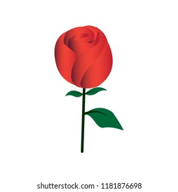 Gradient Color Rose Icon