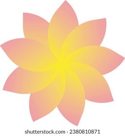 a gradient colour flower yellow and pink