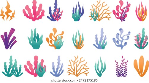 Gradient Coral Reef Illustration Art