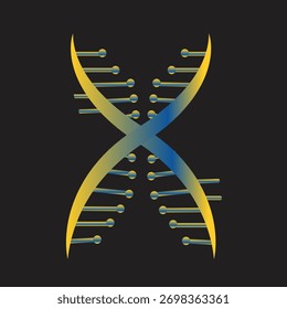 Gradient double DNA Helix design