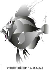 Gradient fish logo