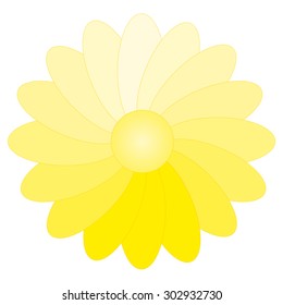 gradient flower color spectrum
