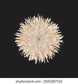 Gradient flower Colorful Background Illustration Flat Design