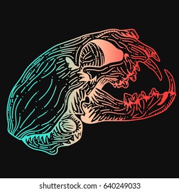 gradient green blue red skull of a cat on a black background, for printing on T-shirts, website design element, tattoo salon mobile application, vector graphics, pinpoint work sketch