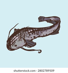 Gradient Handdrawn illlustration of an catfish