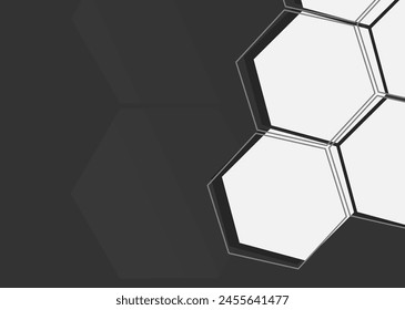 Gradient hexagonal background. white and black colors. copy space area