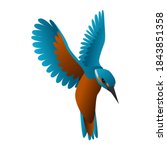 gradient kingfisher bird vector illustration isolated on white background