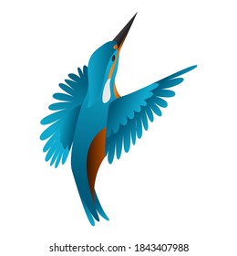 gradiente kingfisher ilustración vectorial de ave aislada en fondo blanco