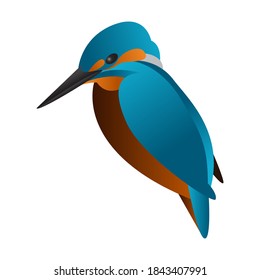 gradient kingfisher bird vector illustration isolated on white background