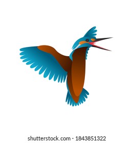 gradient kingfisher bird vector illustration isolated on white background