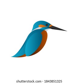 gradient kingfisher bird vector illustration isolated on white background