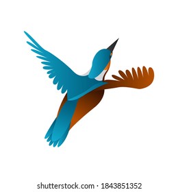 gradient kingfisher bird vector illustration isolated on white background