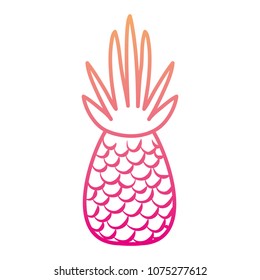 gradient line healthy pineapple delicious organic fruit