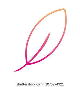 gradient line tropical leaf nature to exotic tree