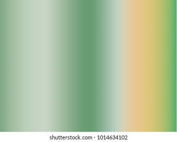 Gradient mesh background. Vector illustration. Abstract creative concept  multicolored blurred backdrop. Smooth blend banner template. For Web and Mobile Applications, social media, modern decoration