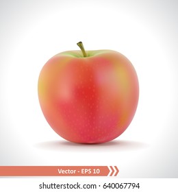 Gradient Mesh Vector Illustration of a Photo Realistic Red Apple