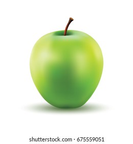 Gradient Mesh Vector Illustration of a Photo Realistic Green Apple