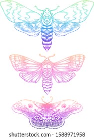 Gradient Moth Set. Beautiful vintage vector illustration. Psychedelic neon composition. Indian, Buddhism, Spiritual Tattoo, yoga, spirituality. Sticker, patch, poster graphic design.