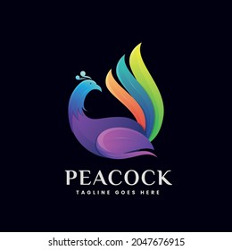 Gradient peacock logo modern vector design