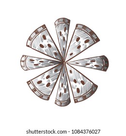 Gradient Pizza icon.Vector