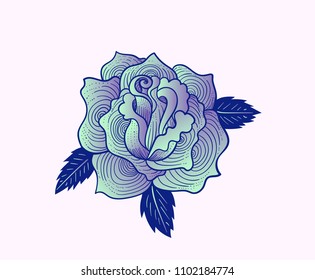 gradient rose painted by hand isolated on white