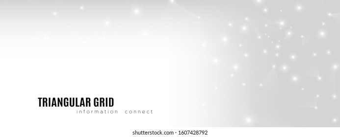 Gradient Technology Background. Vector Big Data. Gray Particle Contemporary. Cosmic Wireless Poster. Technology Information. Data Software. Light Future Banner. Technology Visualization.