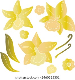 Gradient Vanilla orchid flowers and leaves. Tropical exotic set. Texture vector elements