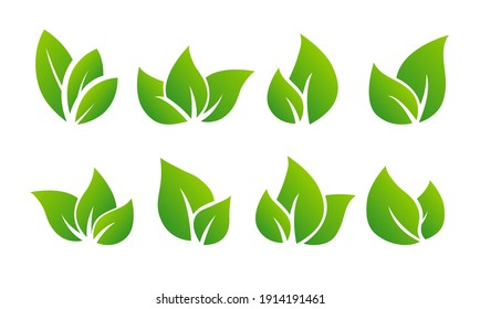 Gradient vector leaves - Design set of leaf in different shapes to use in environmental or healthy logos.