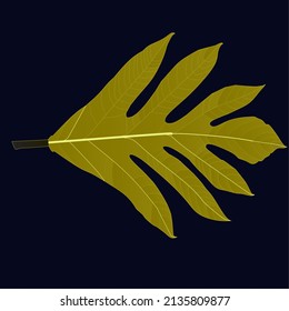 gradient wallpaper dry leaves on dark blue background