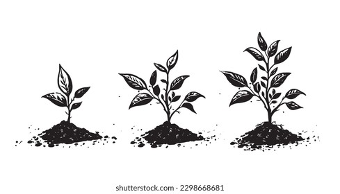 Gradual tree growth in the ground, hand drawn illustrations, vector.