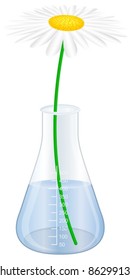 Graduated measure with daisy on a white background. Vector illustration.