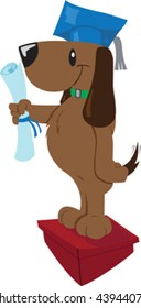 Graduating dog