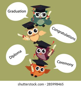 graduation decorative vector owl background